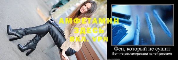 молекула духа Пестово