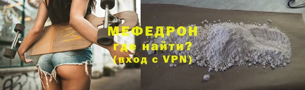 индика Богородицк