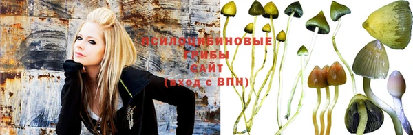 марки nbome Белокуриха