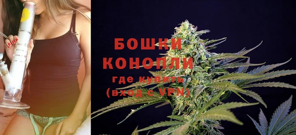 круглые Пересвет