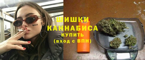 индика Богородицк